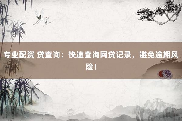 專業(yè)配資 貸查詢：快速查詢網(wǎng)貸記錄，避免逾期風(fēng)險(xiǎn)！