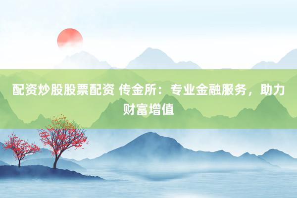 配資炒股股票配資 傳金所：專業(yè)金融服務(wù)，助力財富增值